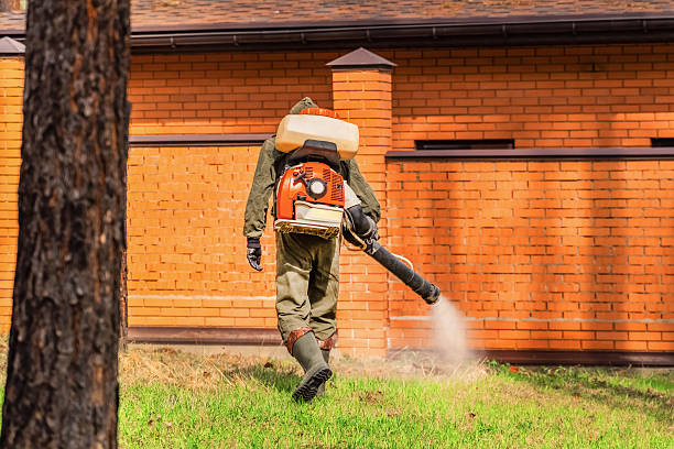 Trusted Emergency Pest Control service in Las Quintas Fronterizas, TX - Nex Pest Control